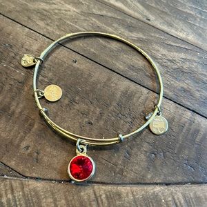 Alex and Ani Red Charm Bracelet